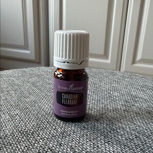 Young Living 5ml Canadian Fleabane Essential Oil